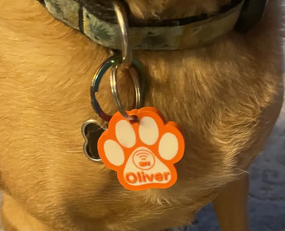 Placa Inteligente NFC 3D para Mascotas · foto 2 de 3